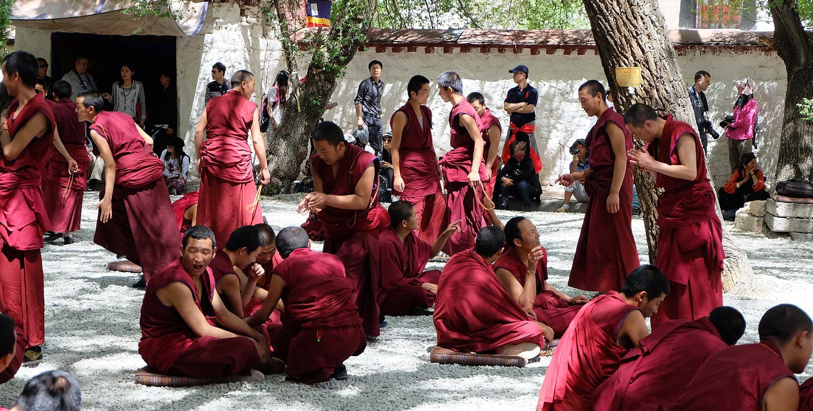 tibet monaci