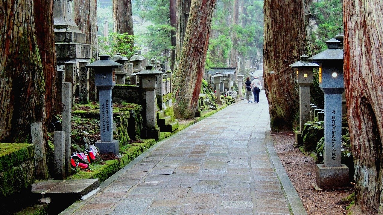 monte-koya