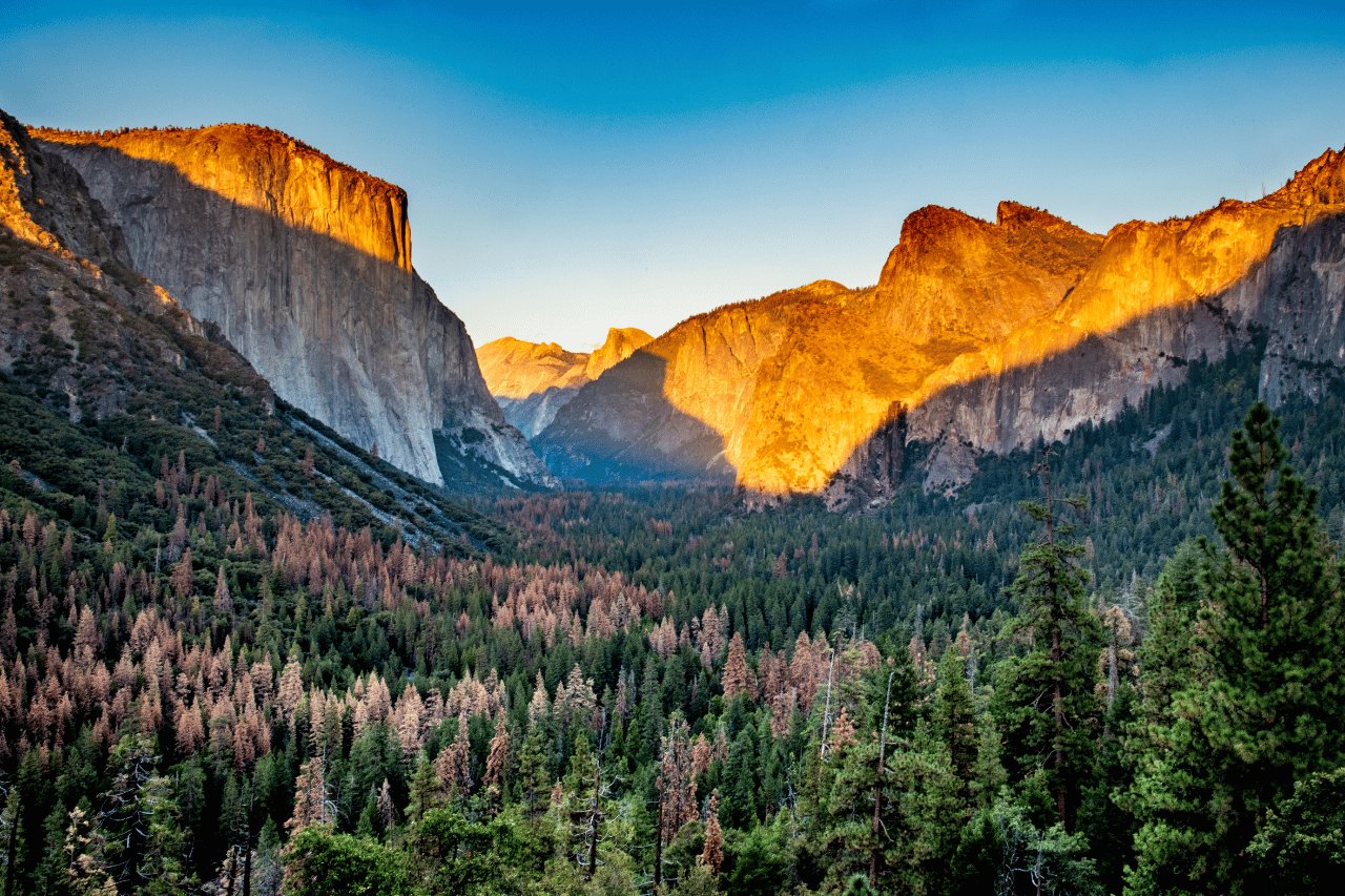Parco Nazionale Yosemite